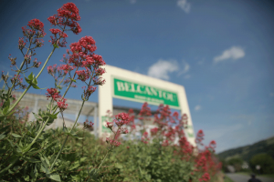 fleurs-accueil-balcantou